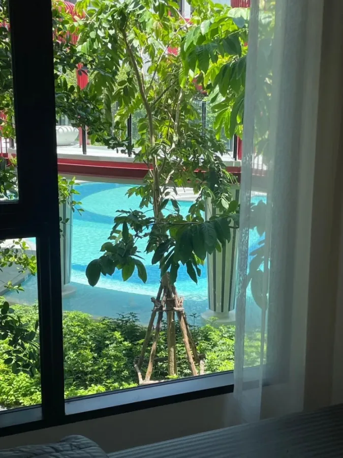 For rent: Kave Wonderland, 2nd floor, pool view, fully furnished, very comfortable. Book now!