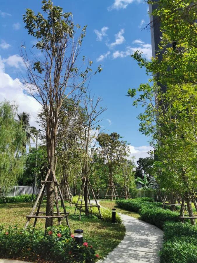 ให้เช่า คอนโด ศุภาลัย เวอเรนด้า สถานีภาษีเจริญ ห้องใหม่ พร้อมอยู่ ทำเลดี ใกล้ MRT จองด่วน!!