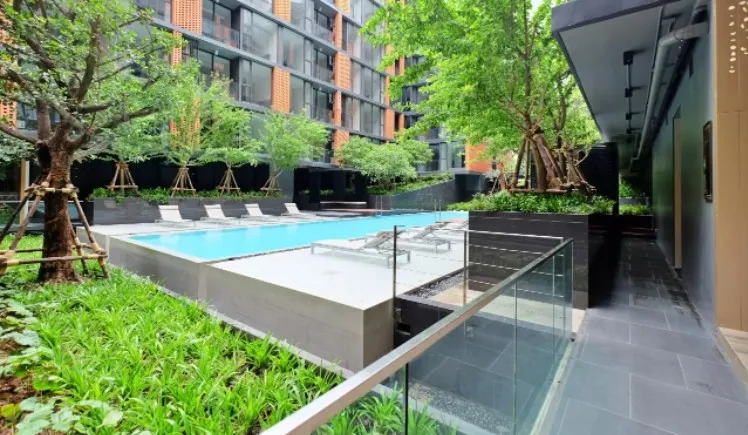 Condo for sale or rent, Quintara Tree House Sukhumvit 42, room ready to move in. Full facilities. Book now. Don't wait.