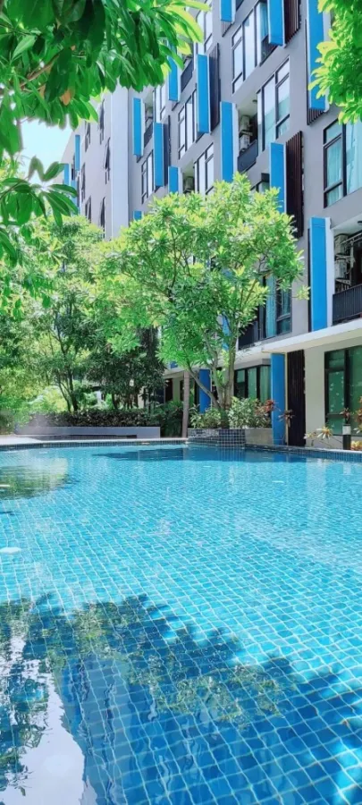 ปล่อยเช่า เฟรช คอนโด วิวสระน้ำ ห้องตกแต่งพร้อมอยู่ เครื่องใช้ไฟฟ้าอย่างดี อย่ามัวแแต่มองรีบจองเลย