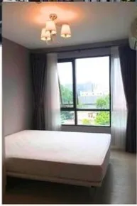 ขาย Pause Sukhumvit 107 1 ห้องนอน 1 ห้องน้ำ พร้อมอยู่ ห้ามพลาด รีบจองเลย