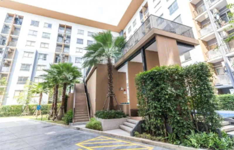 For Rent Plum Condo Bangyai, beautiful room, great view. Just waking up in the morning and laying on the bed, immediately satisfied with the surrounding atmosphere.