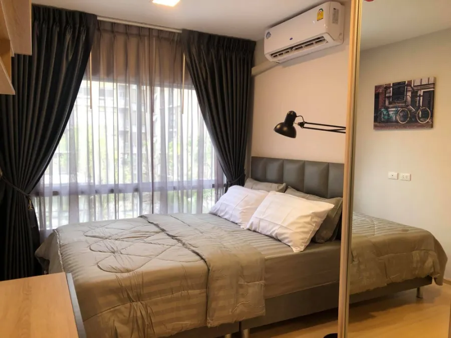 ให้เช่า Plum Condo Rangsit Alive 1 ห้องตกแต่งดีมากก สวรรค์แห่งการพักผ่อนสุดๆ พลาดแล้วเสียใจแทน