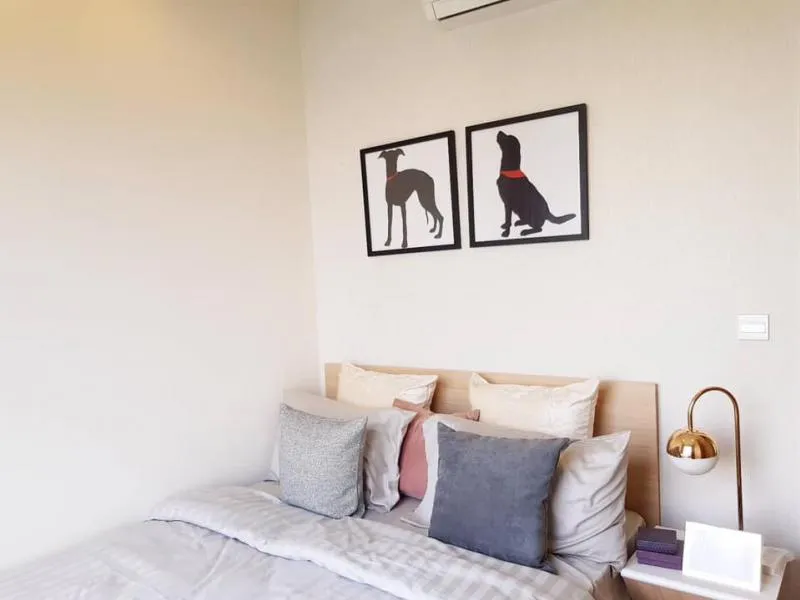 For rent M Jatujak, can raise animals ++ 2 bedrooms, 2 bathrooms, view of Baiyoke building, this room is hard to find, book now!!