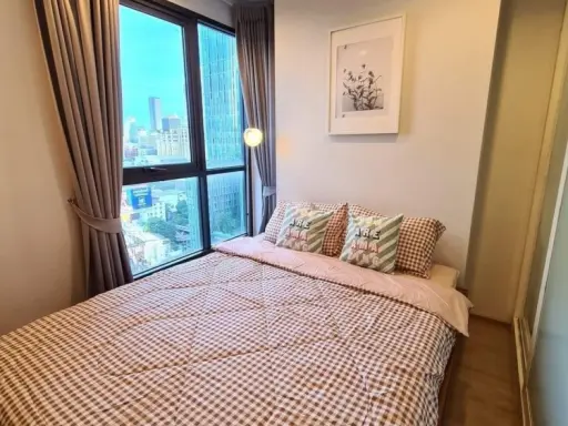 For Rent Ideo Q Rachatewi ห้องว้าววมาก ตกแต่งน่าอยู่สุดๆ ได้วิวสวนสวยๆ แนะนำห้องนี้สุดๆ รีบจองเลยจ้า