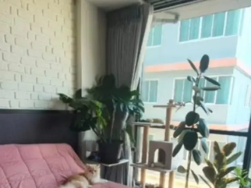 ขายคอนโด The Unique รัชดา19 สไตล์ Loft แบบ Pet Friendly ที่เหล่าทาสแมวต้องถูกใจสิ่งนี้แน่นอน จองเลย images