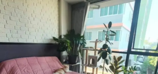 ขายคอนโด The Unique รัชดา19 สไตล์ Loft แบบ Pet Friendly ที่เหล่าทาสแมวต้องถูกใจสิ่งนี้แน่นอน จองเลย images