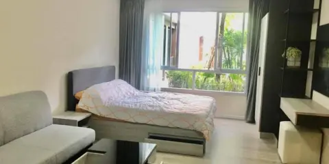 Dcondo รังสิต เฟสใหม่ ห้องชั้น1 วิวสวน ห้องเช่าแต่งสวย เฟอร์ครบ สามารถลากกระเป๋าเข้าอยู่ได้เลยจ้าา