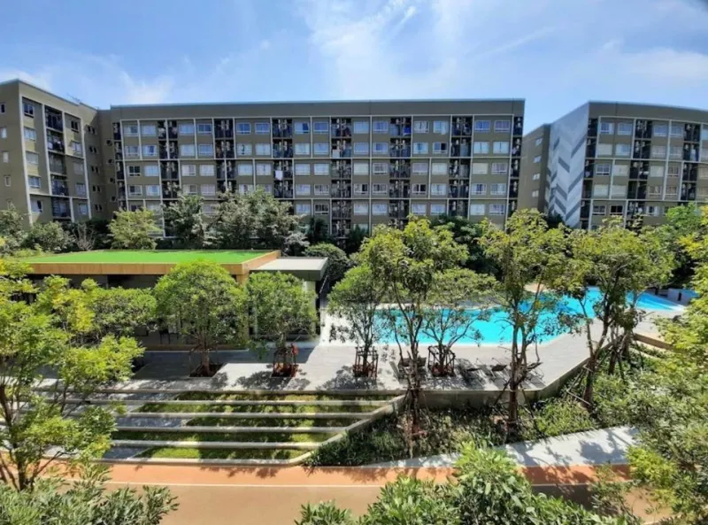 ขาย Plum Condo Alive 1 ชั้น 8 วิวธรรมชาติ ตกแต่งครบครัน ซื้ออยู่เองหรือลงทุนก็คุ้ม รีบจับจองเลย