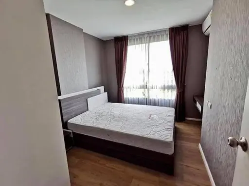 ให้เช่า Rill Condo รังสิต ห้องใหญ่ พื่นที่ใช้สอยเยอะมาก แถมตกแต่งห้องลงตัวสุดๆ สนใจย้ายด่วนๆ images