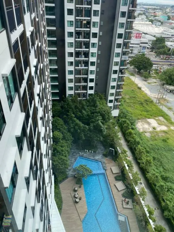ให้เช่า คอนโด เคนซิงตัน สุขุมวิท-เทพารักษ์ ห้องสวย วิวสระ เดินทางสะดวก ห้ามพลาด!