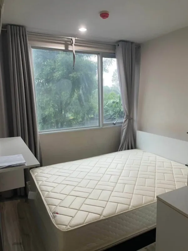 ให้เช่า Condo Sammakorn S9 Condominium ห้องพร้อมเข้าอยู่ เฟอร์ฑร้อม ราคาสบายกระเป๋า รีบจองเลย
