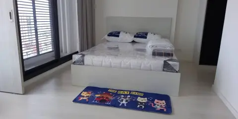 ขาย เช่า แมสซารีน รัชโยธิน ชั้นสูง ห้องน่าอยู่ สิ่งอำนวยความสะดวกครบครัน รีบจองให้ไวเลยจ้า