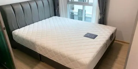 ให้เช่า Plum Condo Mix Chaengwattana ห้องแต่งโทนขาว-ดำสวยมาก สิ่งอำนวยความสะดวกครบ จองด่วนเลย