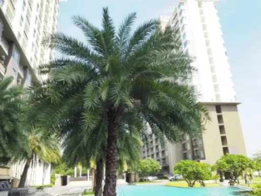 ด่วน!! ให้เช่า The Parland Srinakarin Lakeside ชั้น 17 บรรยากาศร่มรื่น เฟอร์ครบ พร้อมอยู่ รีบเลย!!