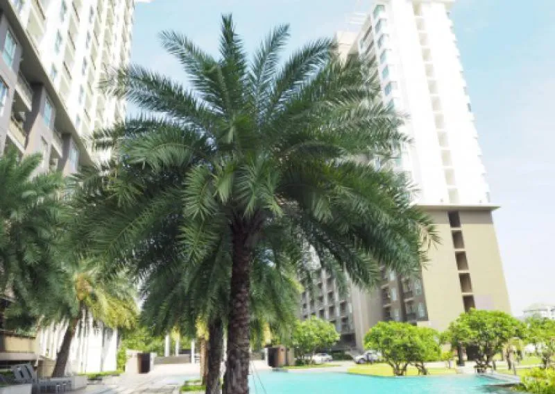 ด่วน!! ให้เช่า The Parland Srinakarin Lakeside ชั้น 17 บรรยากาศร่มรื่น เฟอร์ครบ พร้อมอยู่ รีบเลย!!