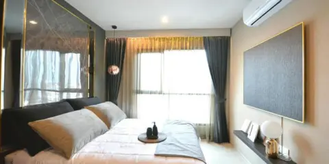 ให้เช่า คอนโด ไลฟ์ สุขุมวิท 48 ห้องสวยมาก เฟอร์นิเจอร์หรูหรา เดินทางสะดวก ไกล้BTS ห้องมาไวไปไวนะคะ