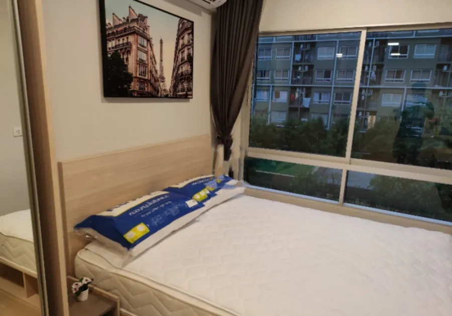 For rent Plum Condo Rangsit Alive Phase 1 pool view south room window Decorate the room with a mirror behind the sofa.