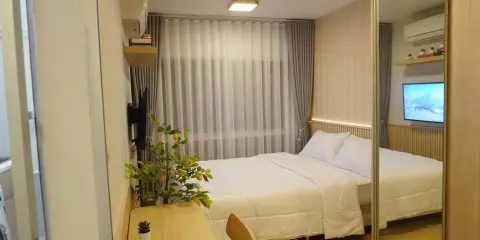 ขาย Plum Condo Rangsit Alive 1 ชั้น 7 วิวสระ 180 องศา ห้องสวย สุดปัง จองเลย ห้ามพลาด