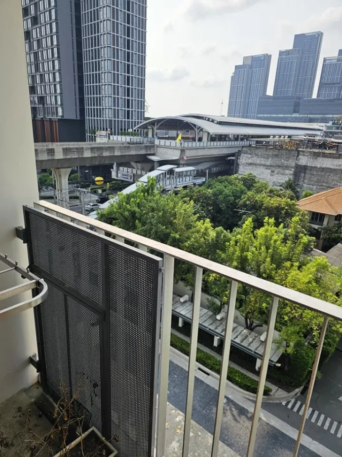 For rent: The Room Sukhumvit 62, bedrooms with awesome wallpaper. The view saw many shady trees. Let me tell you, you have to make a reservation.