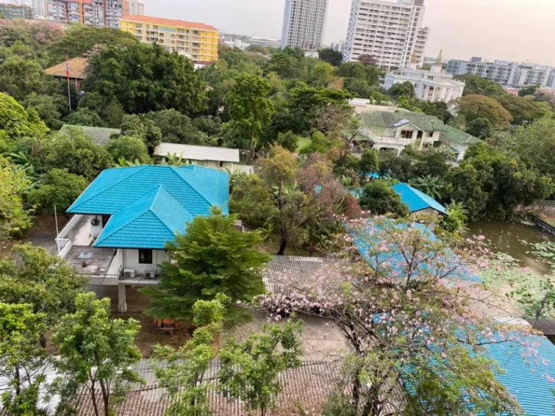 ให้เช่า ด่วน!! คอนโด ไอดีโอ มอร์ฟ 38 ห้อง Duplex ทำเลดี ใจกลางเมือง อย่าช้าจองเลย!!