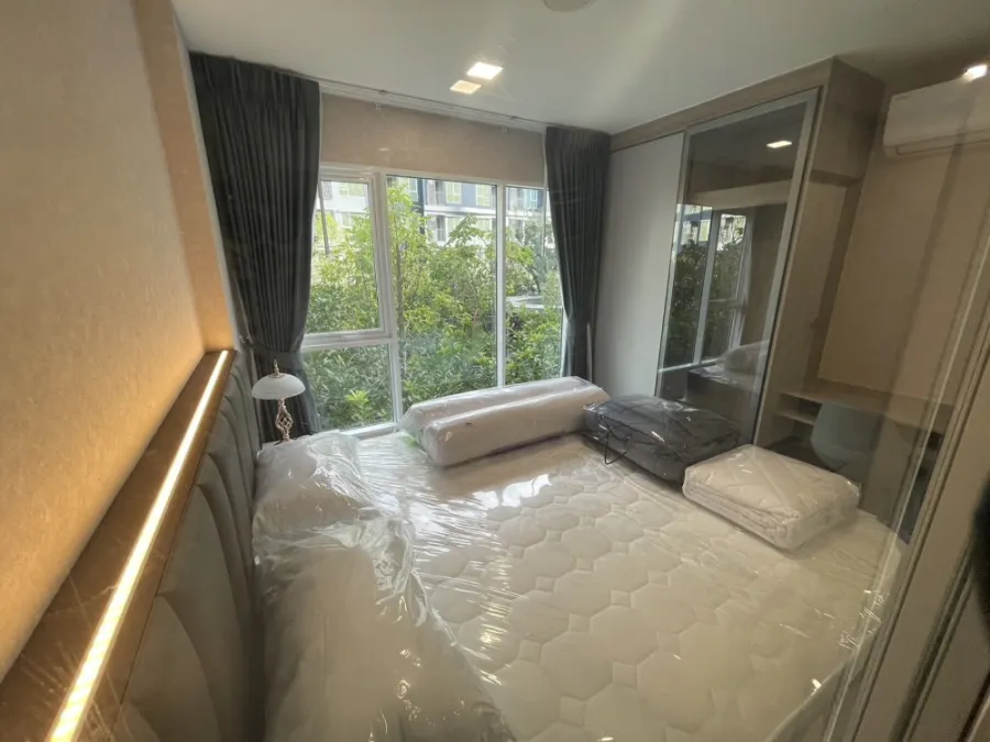 ให้เช่า เคฟ ทาวน์ ไอส์แลนด์ ห้องสวยแบบเรียบง่ายแต่ดูดีมาก วิวยอดไม้สดชื่นสบายตาสุดๆ แบบนี้ต้องจองเลย
