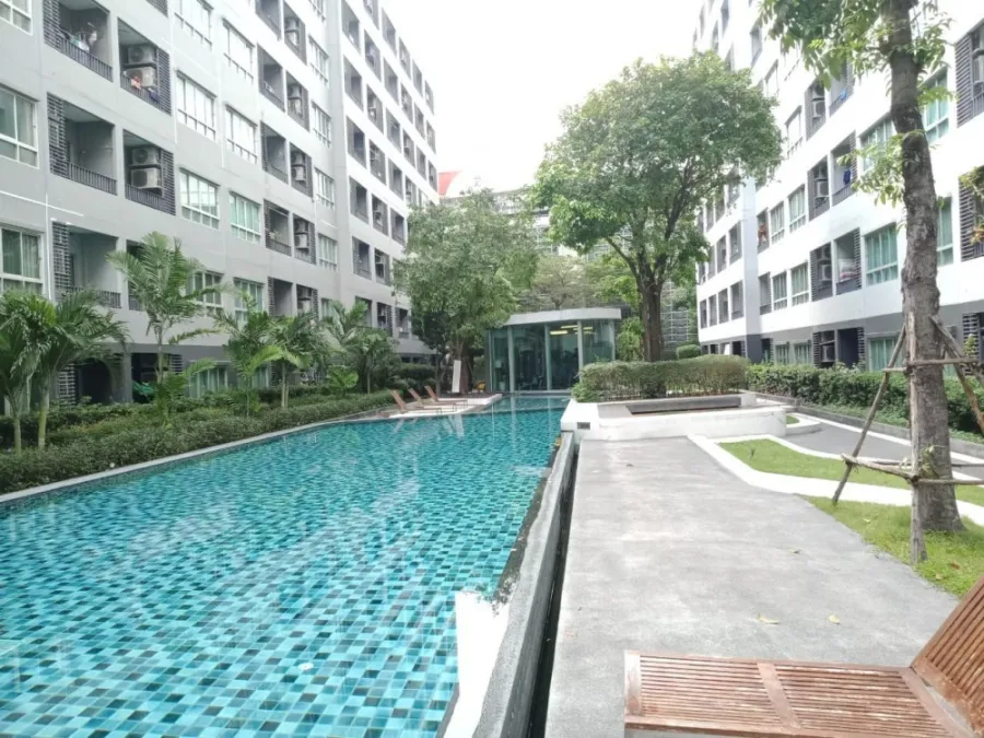 ให้เช่า คอนโด เอลลิโอ สุขุมวิท 64 ราคาพิเศษ พร้อมอยู่ อย่ารอช้า