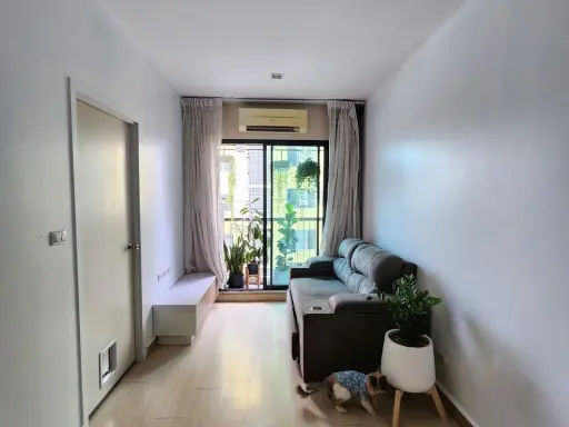 Condo for rent, The Privacy Rewadee, nicely decorated. Plus you can raise pets. There is a balcony to enjoy the view all year round. Book now.