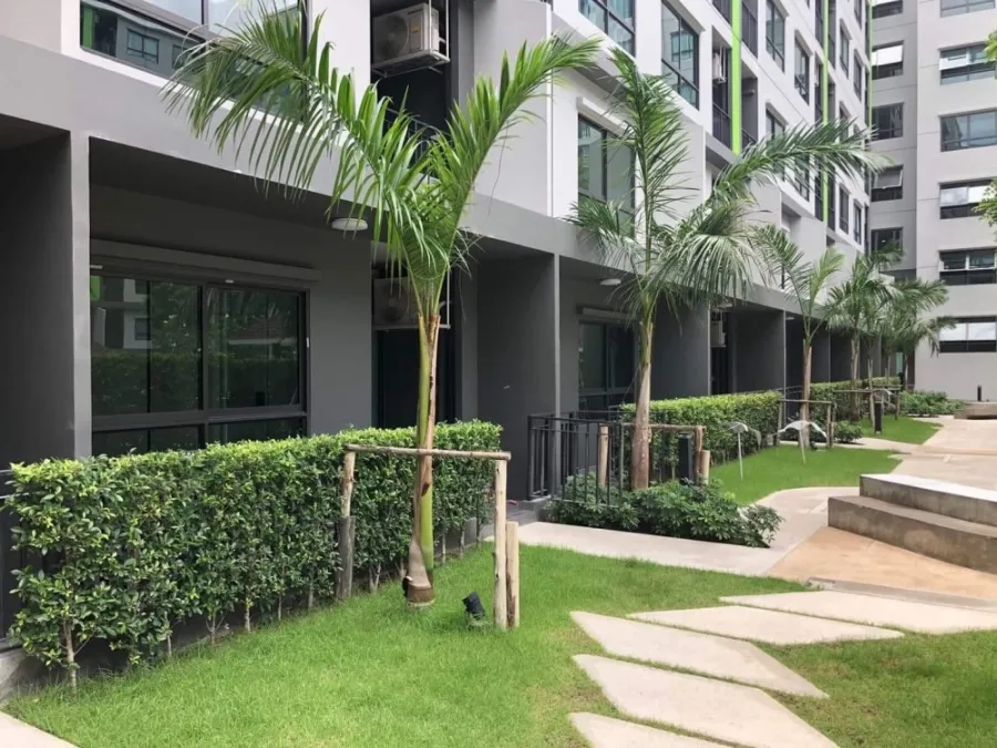 มาแล้ว ห้องวิวสวนและสระน้ำ พร้อมเฟอร์นิเจอร์บิ้วอิน ห้ามพลาด เช่าเลย ที่ Grene Donmuang-Songprapha