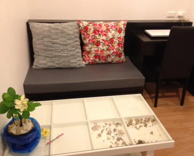 Sale Lumpini Ville Chaengwattana-Pak Kret. with built-in set, city view, morning sun