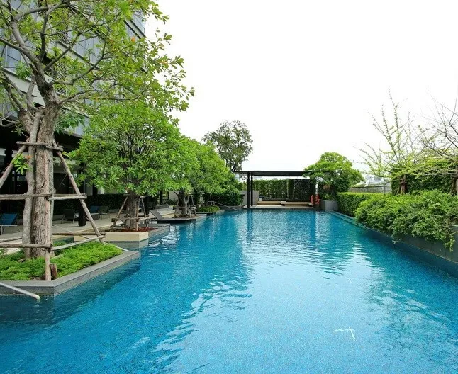ปล่อยเช่าด่วนๆๆ คอนโดให้เช่า เดอะ รูม พระราม 4 และใกล้ทางพิเศษศรีรัช (ด่านสะพานสว่าง และด่านหัวลำโพง