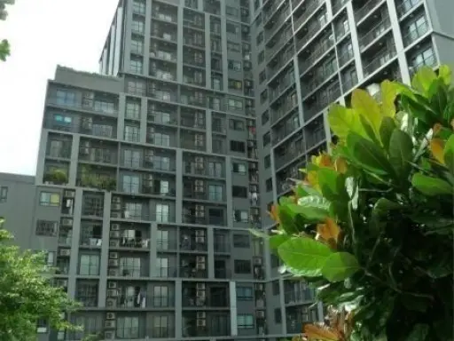 The Seed Mingle Sathorn-Suanplu
