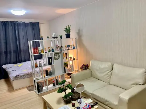 This room is decorated cute. Very sparkly. Full Furniture, ready to move in immediately.