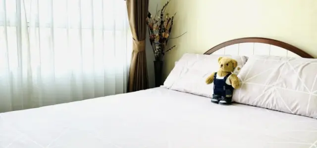 ขาย Plum Condo Samakkhi 1 ห้องนอน 1 ห้องน้ำ มาพร้อมสิ่งอำนวยความสะดวกครบครัน หิ้วกระเป๋าเข้าอยู่ได้เลยจ้า images