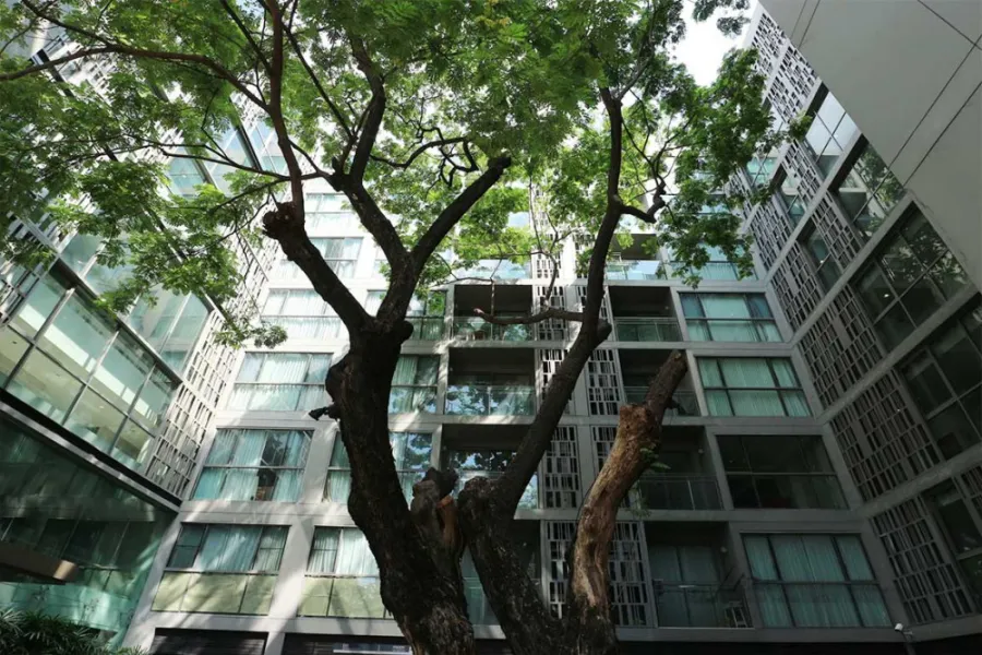 ขาย / เช่า Condo Via Botani Sukhumvit 47ชั้น1 ห้องกว้าง ร่มรื่น วิวสวน จองเลย!!