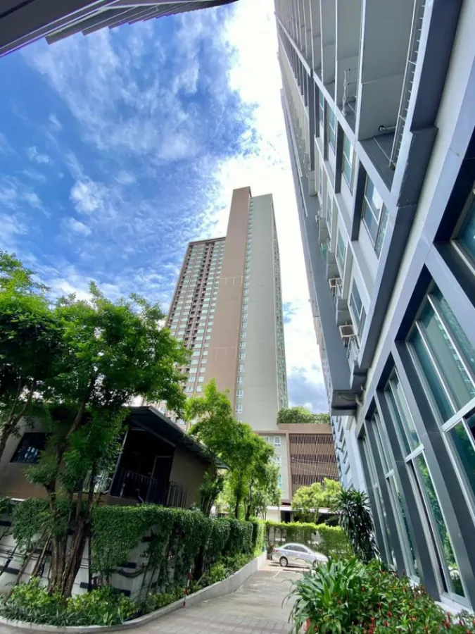ให้เช่า เดอะ พาร์คแลนด์ รัชดา-ท่าพระ ห้องนอนใหญ่ ขนาด 35 ตร.ม พร้อมเฟอร์ครบ มาแต่ตัวเข้าอยู่ได้เลย