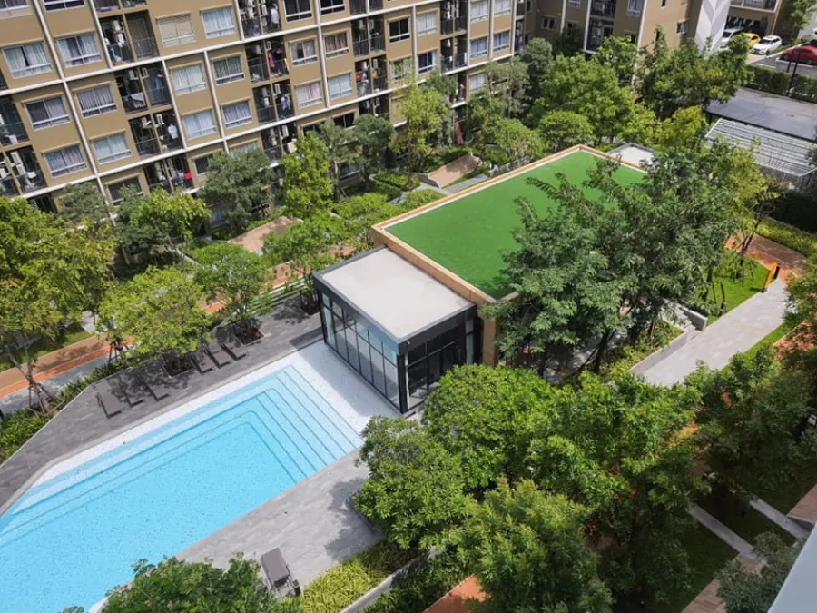 ให้เช่า Plum Condo Rangsit Alive 1 ห้องใหม่ ของใหม่หมด พร้อมอยู่ แค่ลากกระเป๋าเข้ามาได้เลยจ้า
