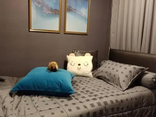 Condo For Sale Notting Hill Chatuchak Interchange The bedroom is on the east. Fully furnished, book now images