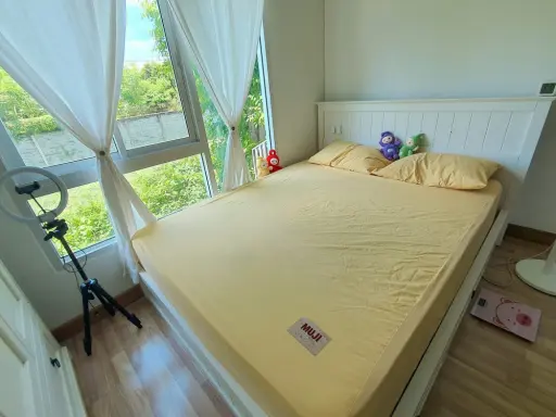 Sell The One Plus Srinakarin, nicely decorated room, eye-catching color scheme, fully furnished, book now. images