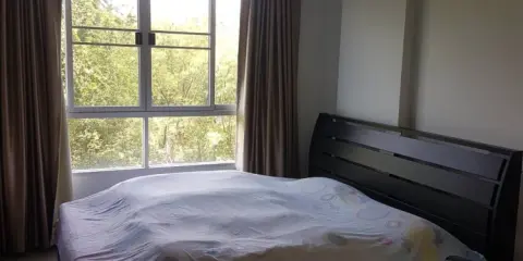 ขาย dcondo campus rangsit เฟส 2 ตึก B ชั้น 4 ตกแต่งพร้อมเครื่องใช้ไฟฟ้าและเฟอร์ชั้นเยี่ยม ห้ามพลาด