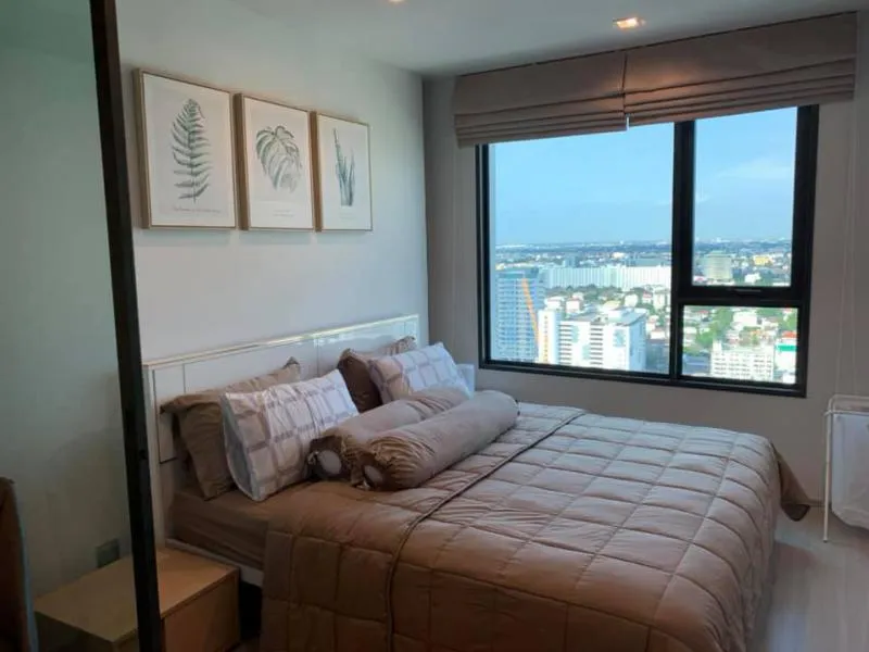 Condo for rent, Life Ladprao, great condo, cool central area The view of the pool is very Pang Puri, you have to jump, come and rent!!!