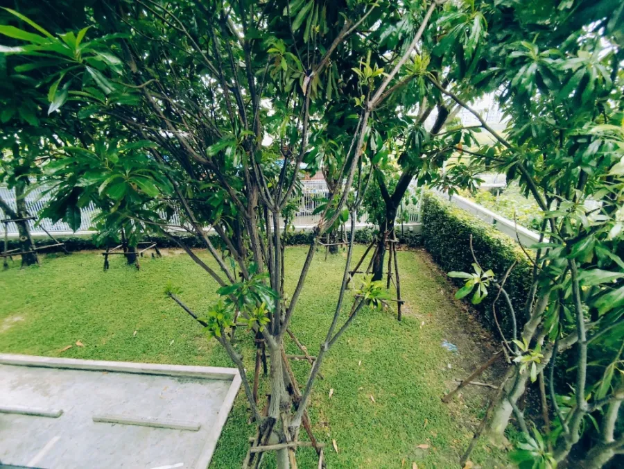 For rent: Atmoz Tropicana Bangna, ready to move in, furnished, complete with electrical appliances. Hurry and reserve now, don't delay.