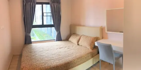 ปล่อบเช่า Plum Condo @ Central Station ห้องน่าอยู่ ติดวอลเปเปอร์อย่างดี มีครบจบที่เดียว อย่าพลาดเลย