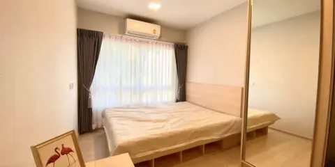 ให้เช่า พลัมคอนโด รังสิต เฟรช ชั้น 4 วิวนอก ห้องมุมเป็นส่วนตัวสุดๆ แถมตกแต่งน่าอยู่มาก สนใจ จองด่วนๆ