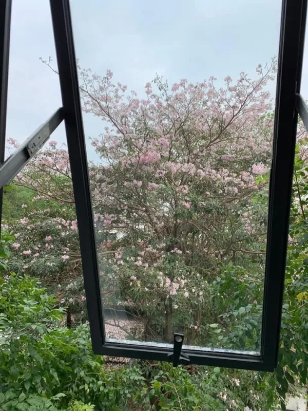 ขาย คอนโด เคนซิงตัน พหลโยธิน 63 ชั้น 4 ไม่สูงมาก ห้องกั้นกระจกเป็นสัดส่วน รีบจองก่อนหลุดมือ