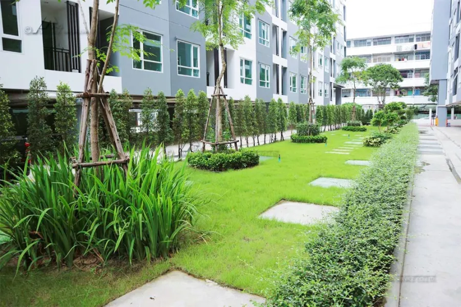 ให้เช่า คอนโด รีเจ้นท์ โฮม สุขุมวิท 81 วิวรถไฟฟ้า เฟอร์ครบ เครื่องใช้ไฟฟ้าครบ ใกล้รถไฟฟ้า
