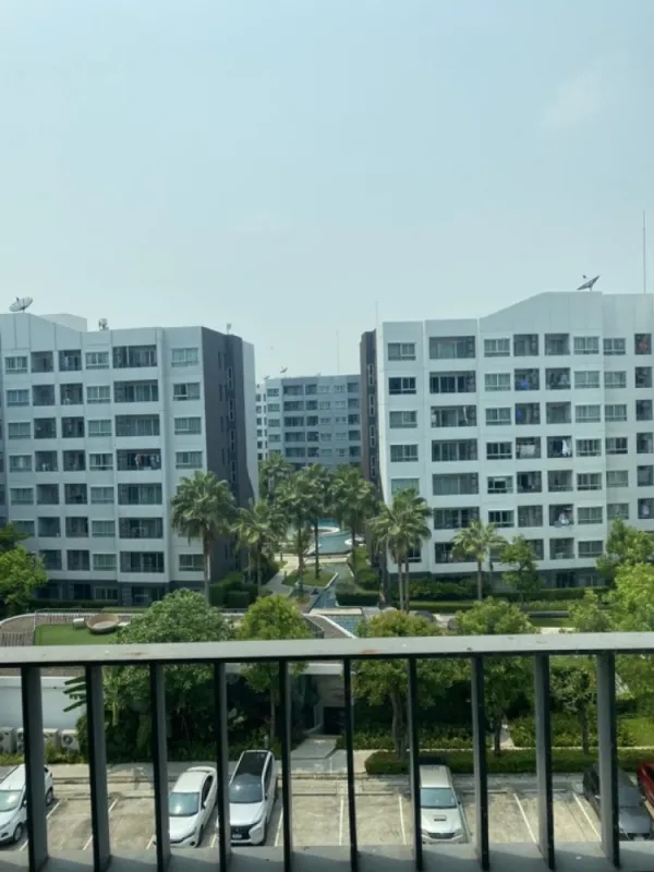 ขาย ให้เช่า!! คอนโด เอลลิโอ เดล เรย์ ชั้น 6 ตึก C ห้องสวย Fully furnished พร้อมเข้าอยู่ ห้ามพลาด!!