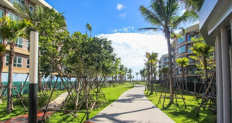 ให้เช่า Miami Bangpu ห้องน่าอยู่ ทำเลดี มาพร้อมเฟอร์นิเจอร์ครบครัน หิ้วกระเป๋าเข้าอยู่ได้เลยจ้า