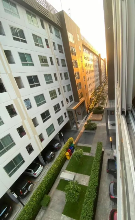 For Rent Plum Condo พหลโยธิน 89 ห้องแยกเป็นสัดส่วน ชั้นสูงกำลังดี ได้วิวสวน ย้ายด่วนๆจ้า