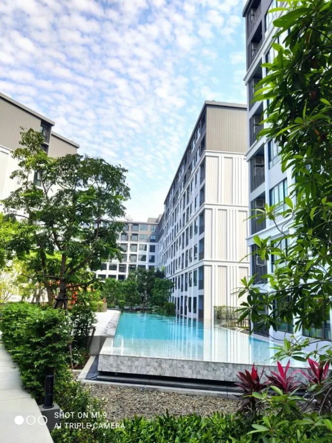 ให้เช่า D condo hideaway รังสิต เฟส 4 ตึก A ชั้น 8 วิวดีมากก สนใจรีบจับจองก่อนหลุดมือจ้า ด่วนๆ